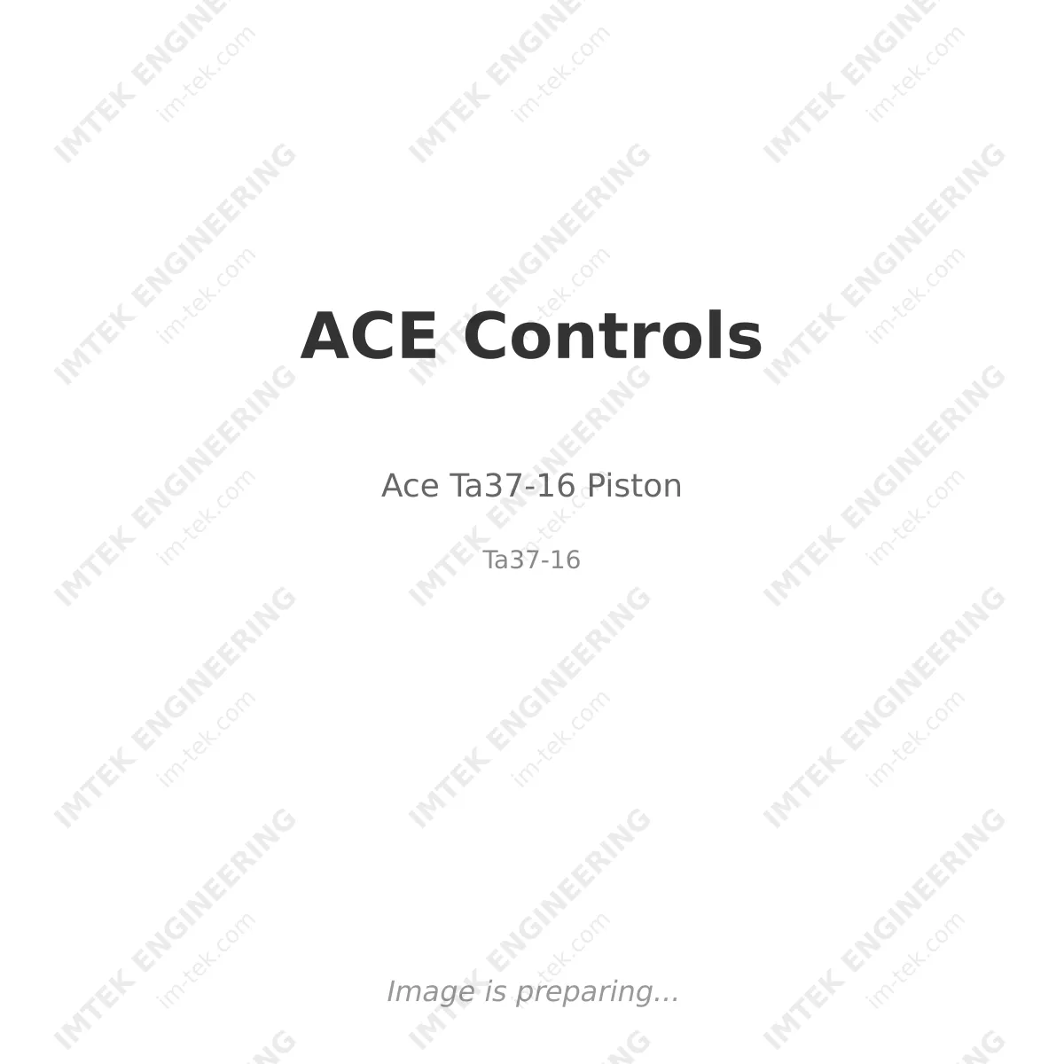 Ace Ta37-16 Piston
