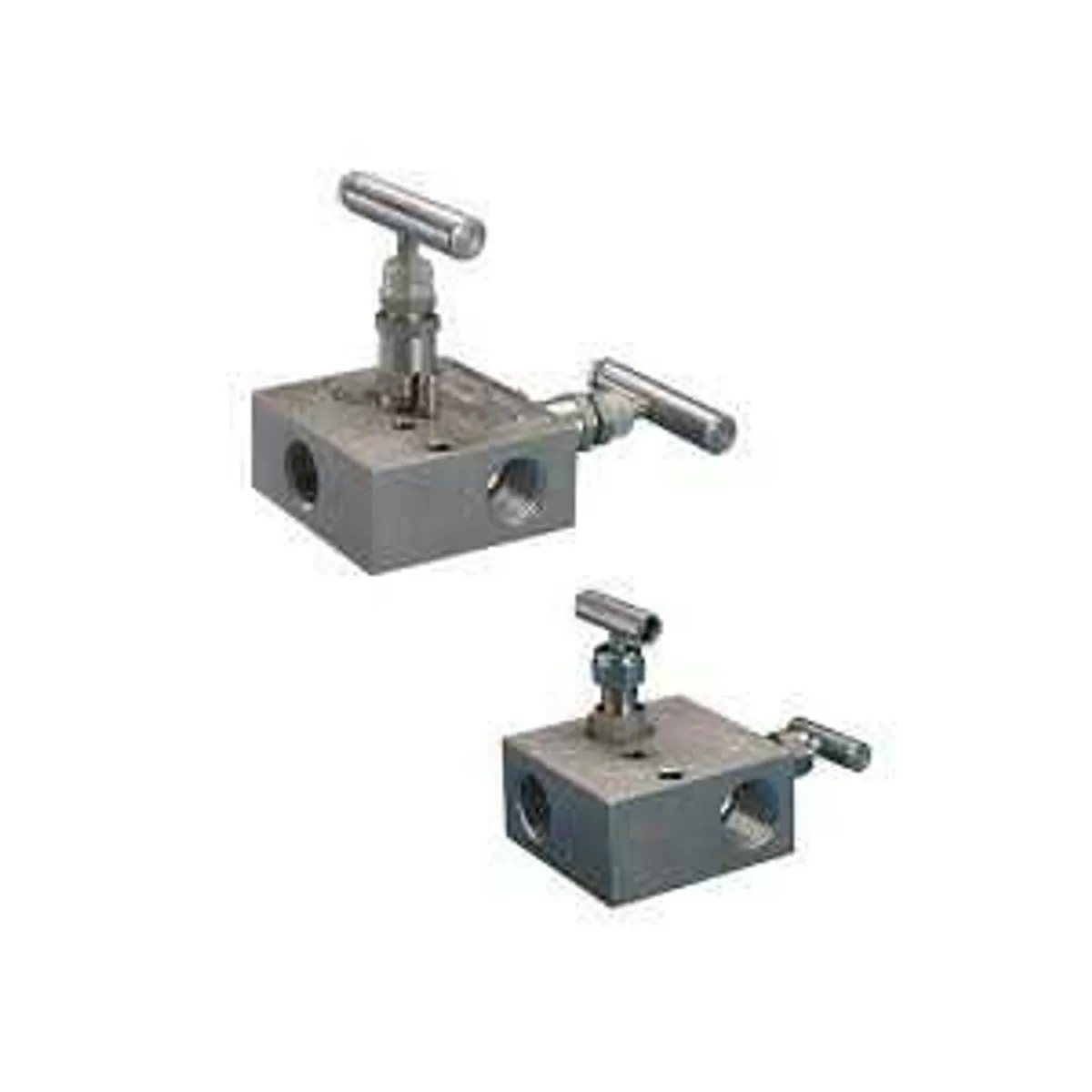 Anderson Greenwood PTM Differential Pressure Manifolds  Differential Pressure Manifold