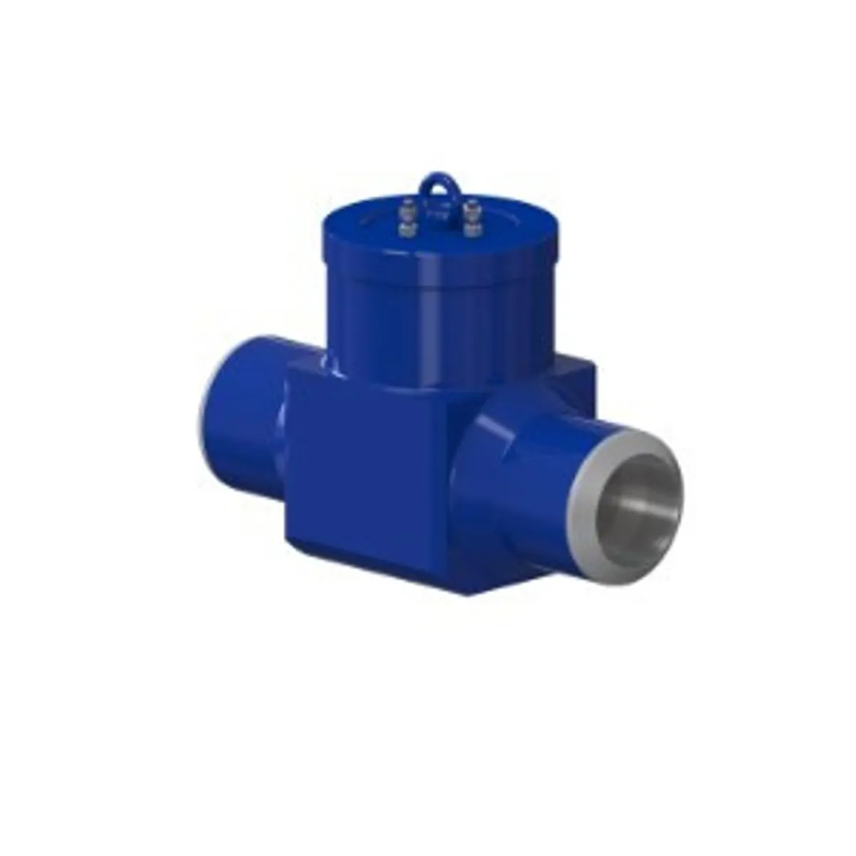 Armatury L10.2  Check Valve