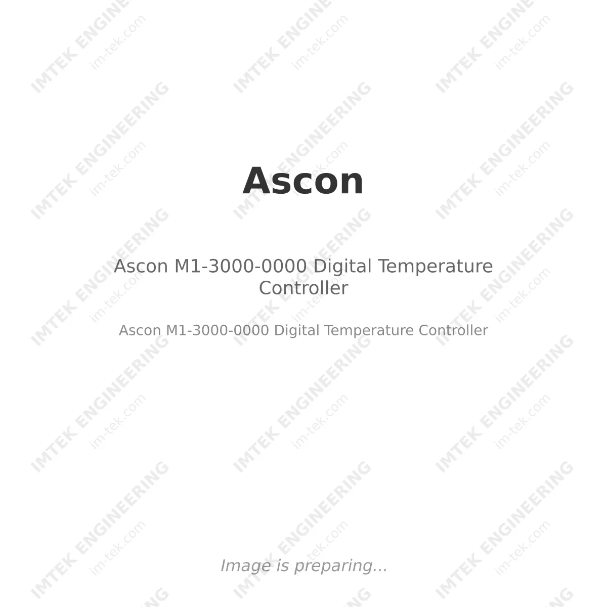 Ascon M1-3000-0000 Digital Temperature Controller