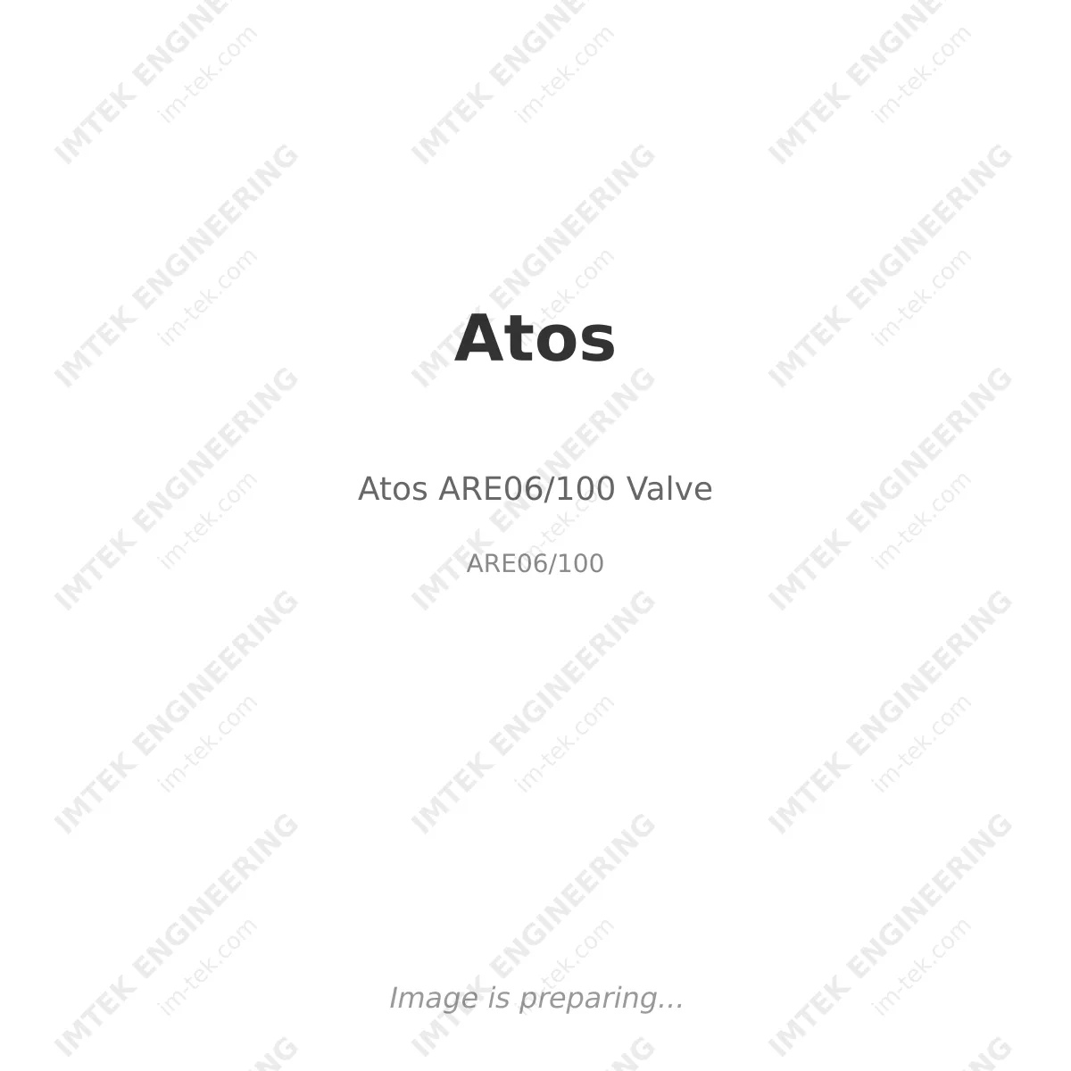 Atos ARE06/100 Valve