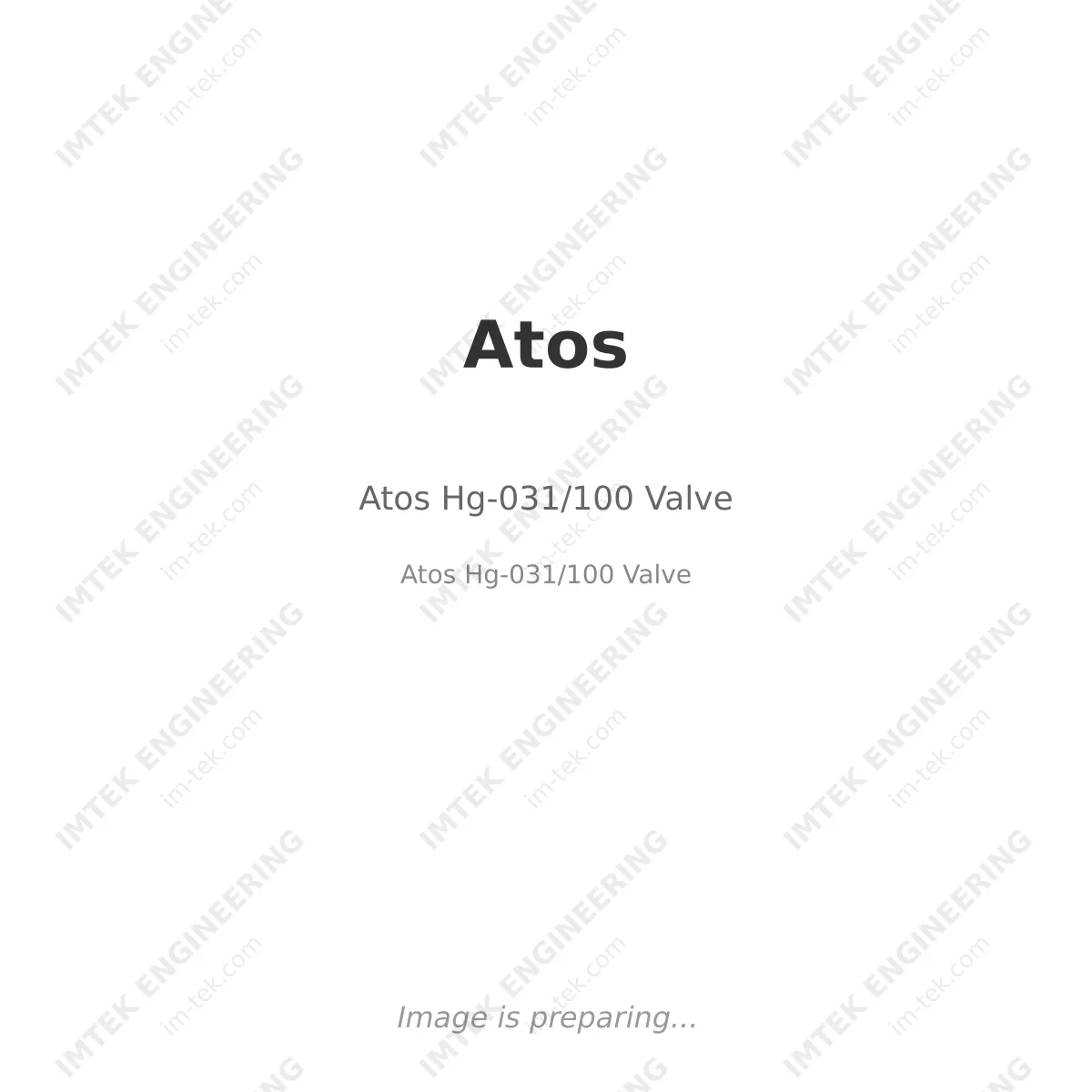 Atos  Hg-031/100 Valve