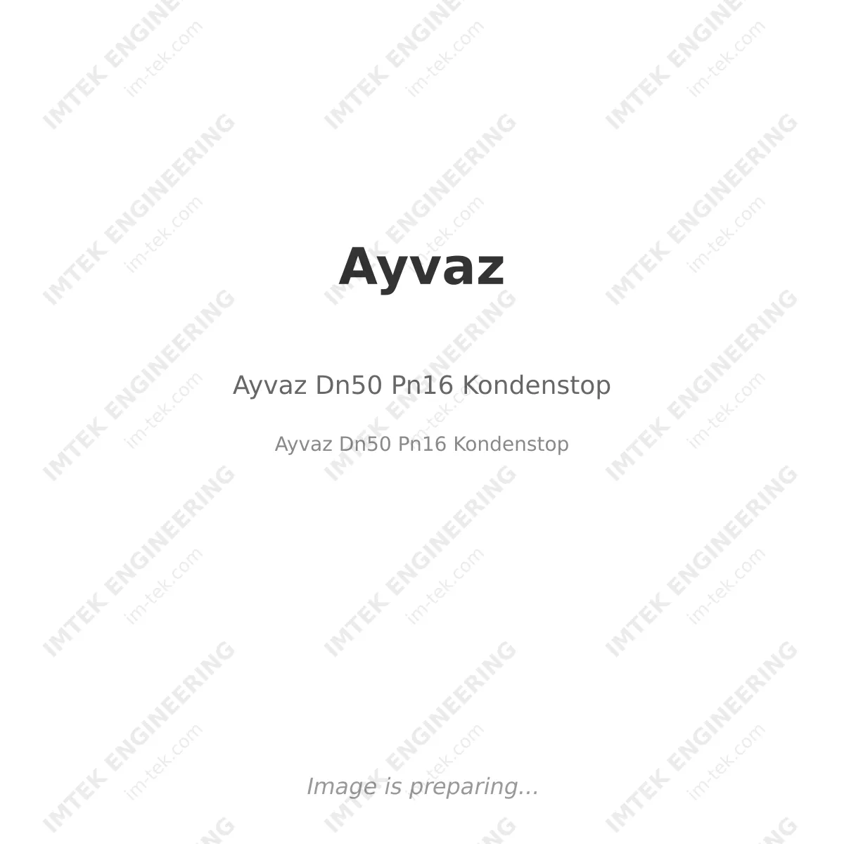 Ayvaz Dn50 Pn16  Kondenstop