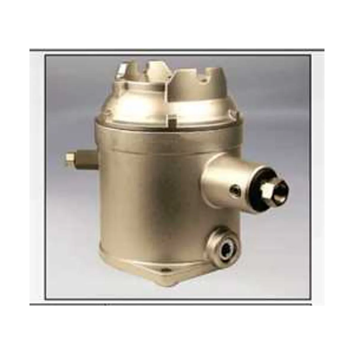 Barksdale D1X, D2X Series Explosion Proof Diaphragm Switch