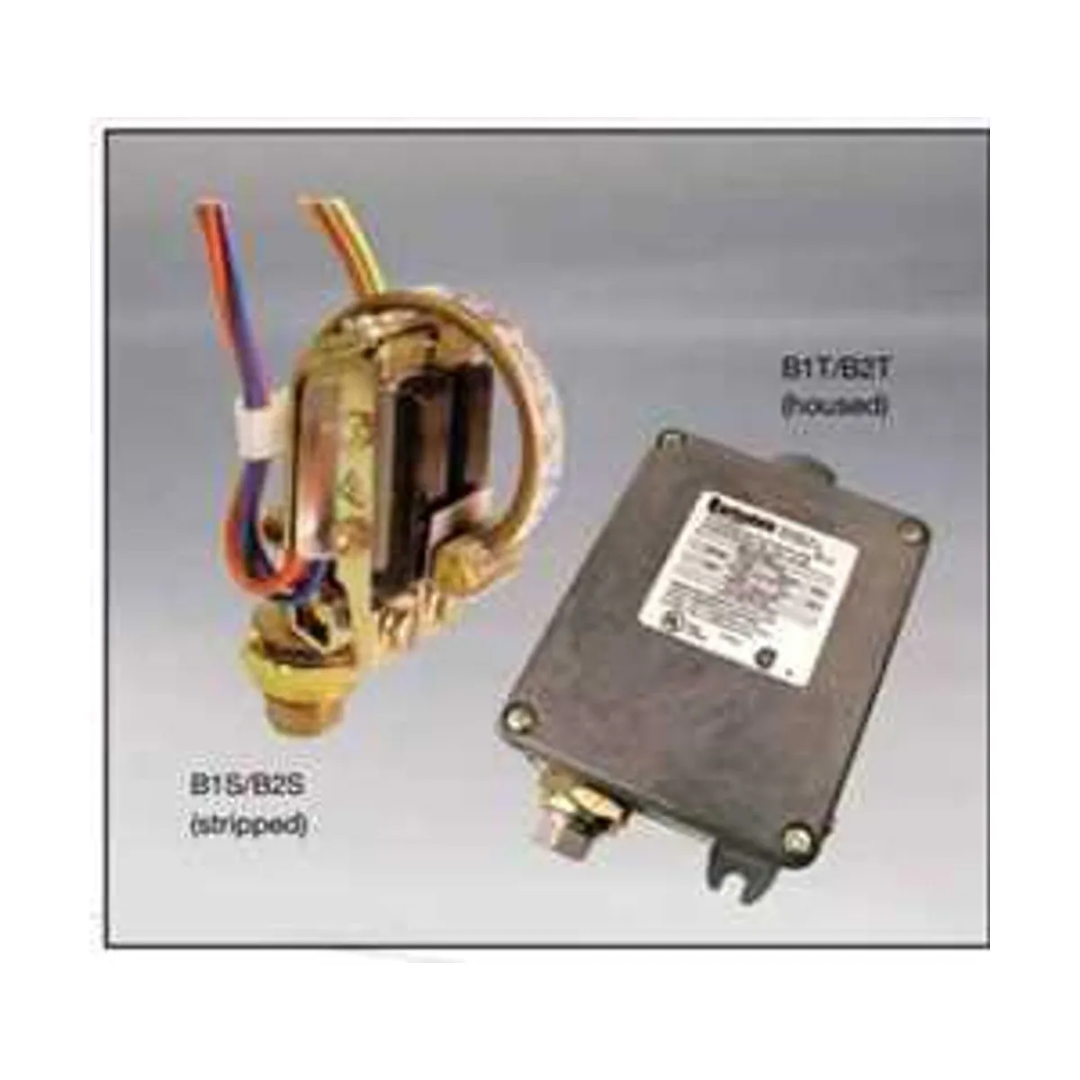 Barksdale Series B1S, B2S, B1T, B2T  Stripped & Housed Bourdon Tube