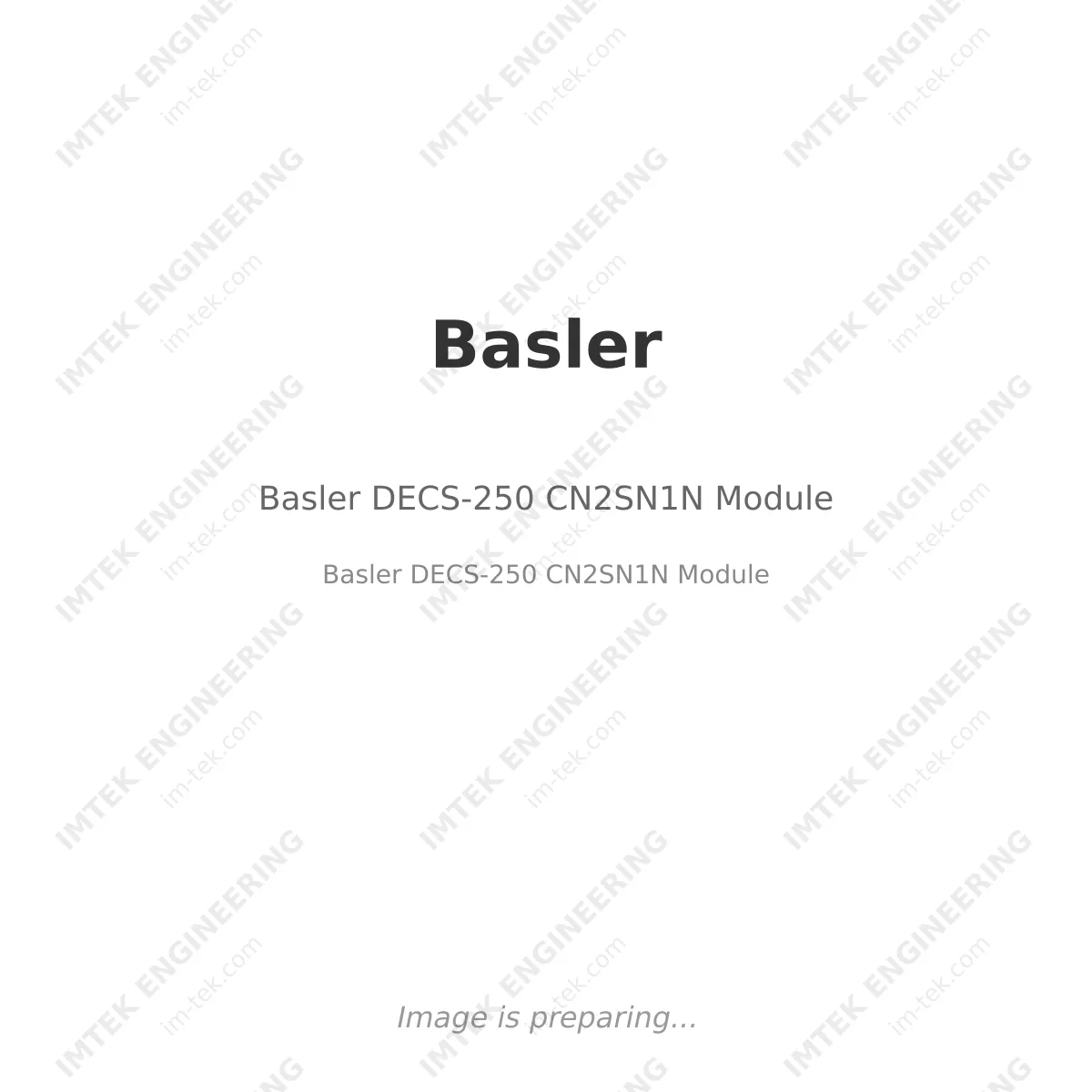 Basler DECS-250 CN2SN1N  Module