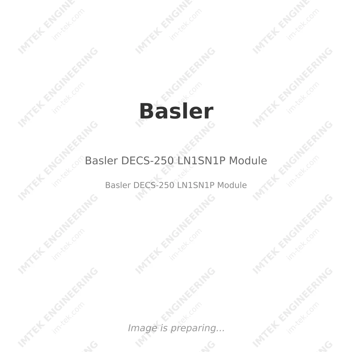 Basler DECS-250 LN1SN1P Module