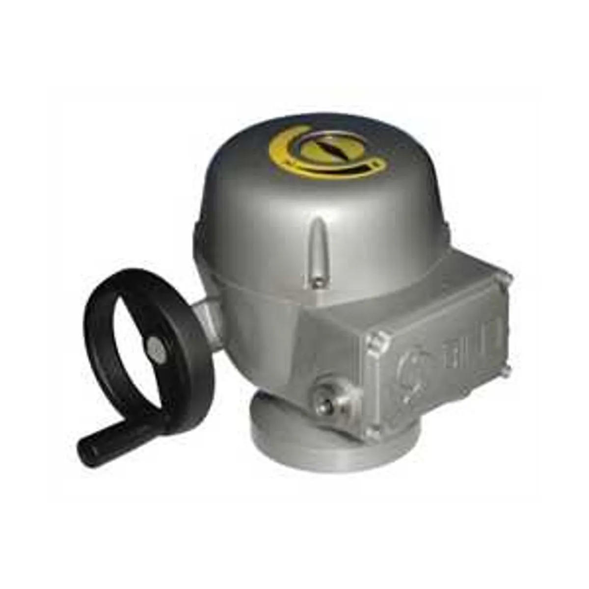 BIFFI F02 Electric Actuators