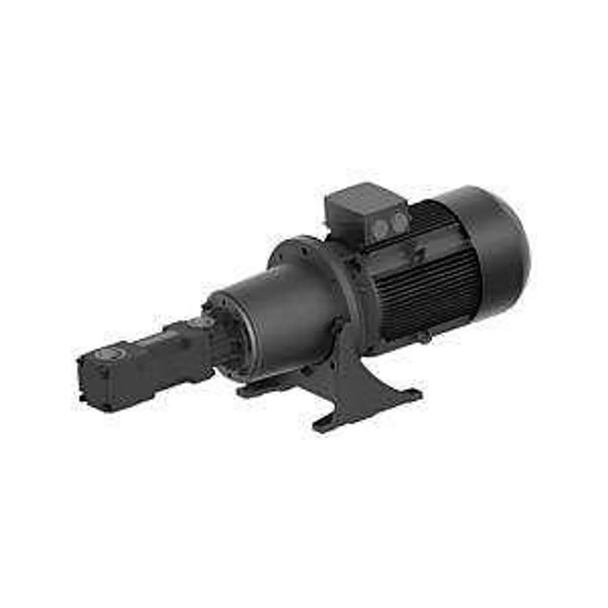 Brinkmann FFS250/70+001  screw pump