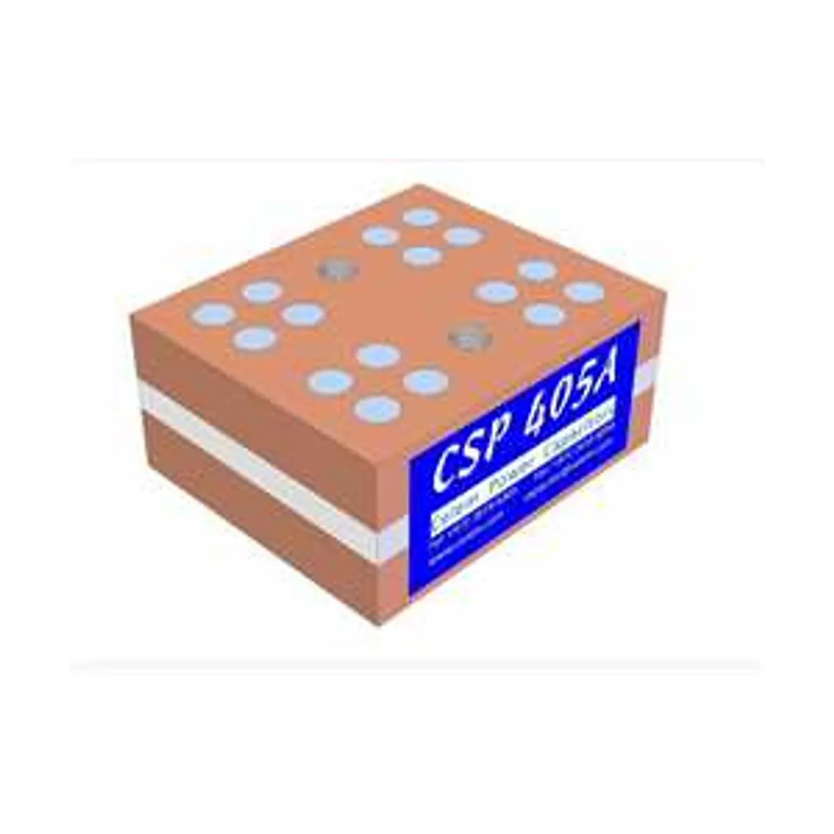 Celem CSP 405A  Conduction Cooled Capacitor