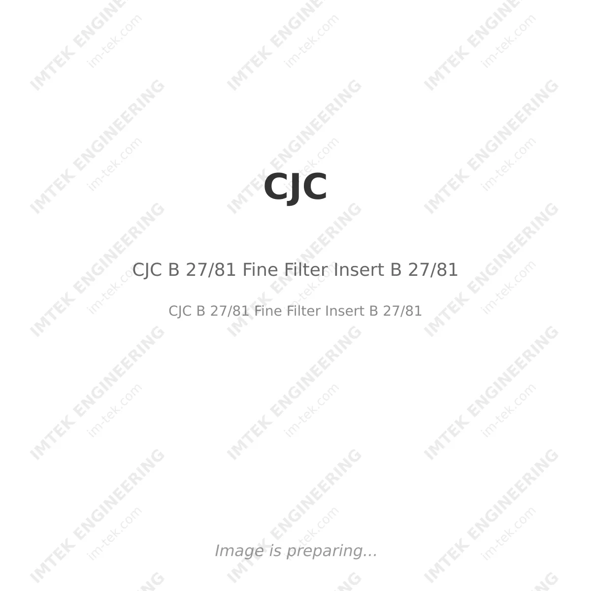 CJC B 27/81 Fine Filter Insert B 27/81