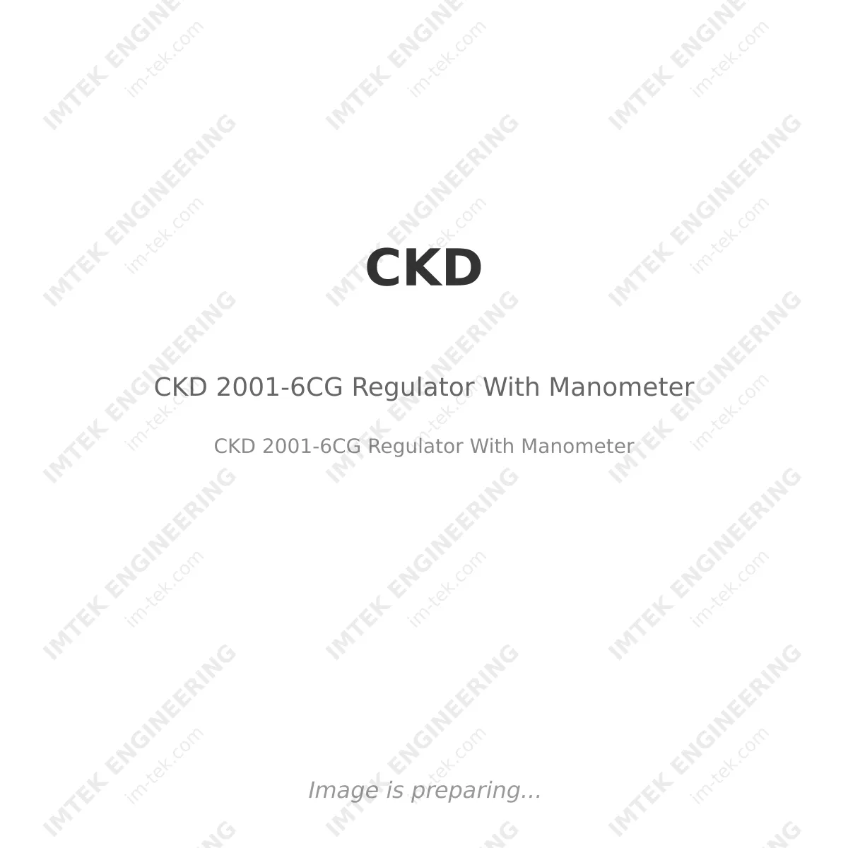 CKD 2001-6CG Regulator With Manometer