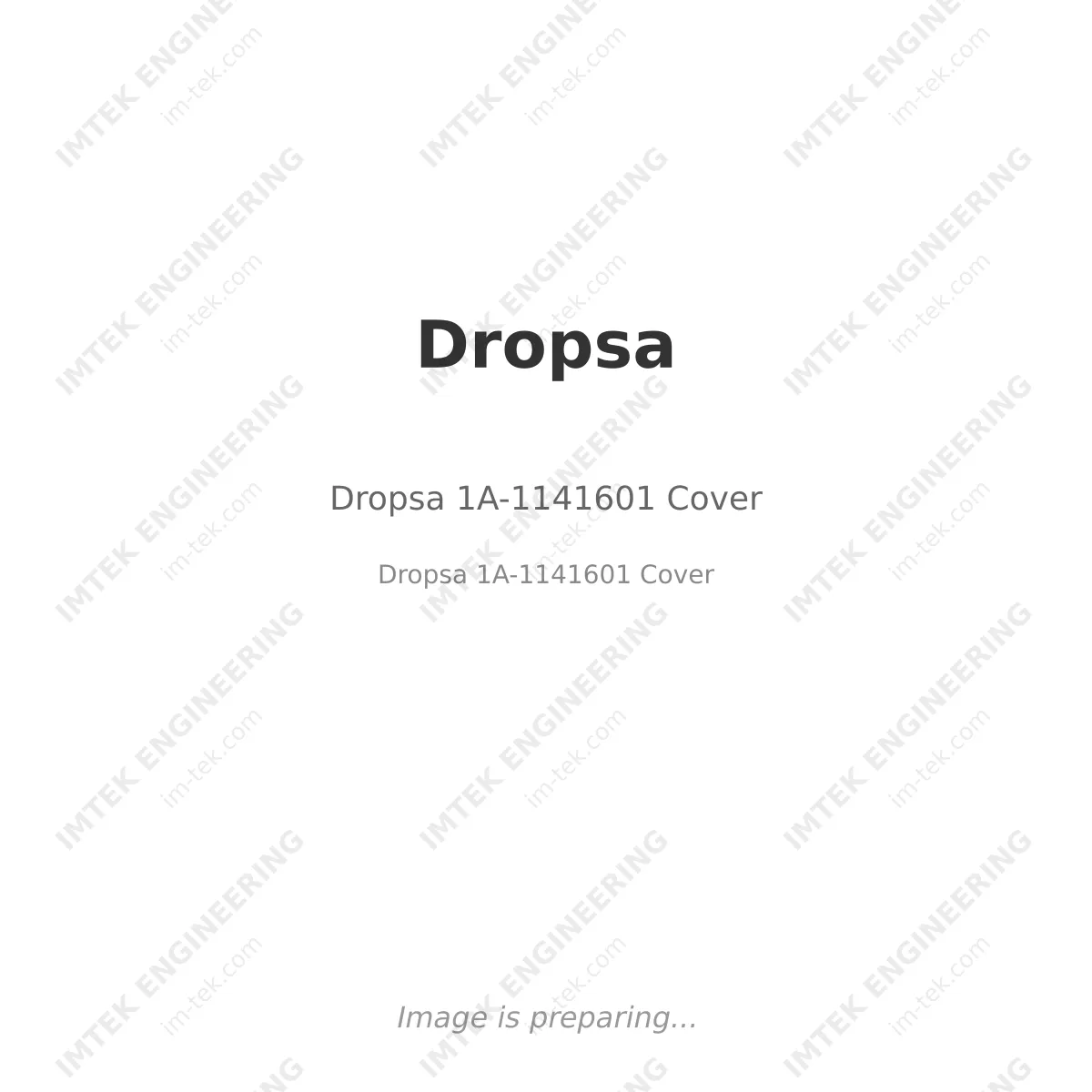 Dropsa 1A-1141601 Cover