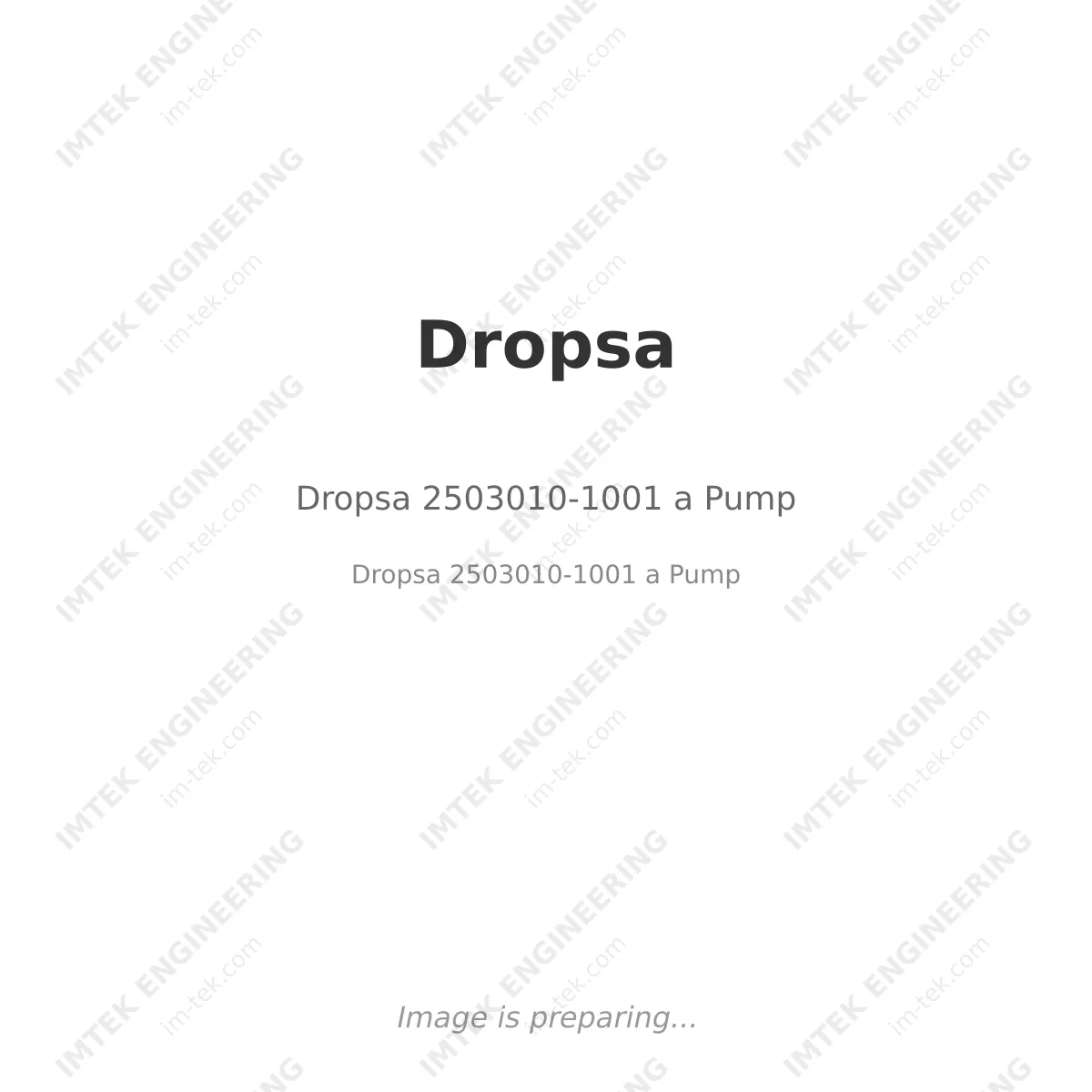 Dropsa 2503010-1001 a Pump
