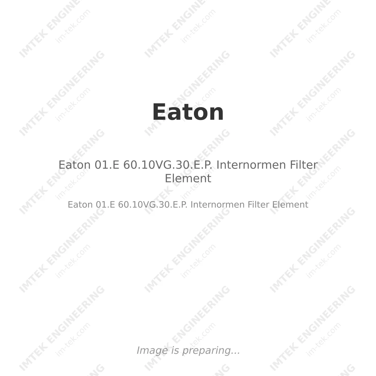 Eaton 01.E 60.10VG.30.E.P. Internormen Filter Element