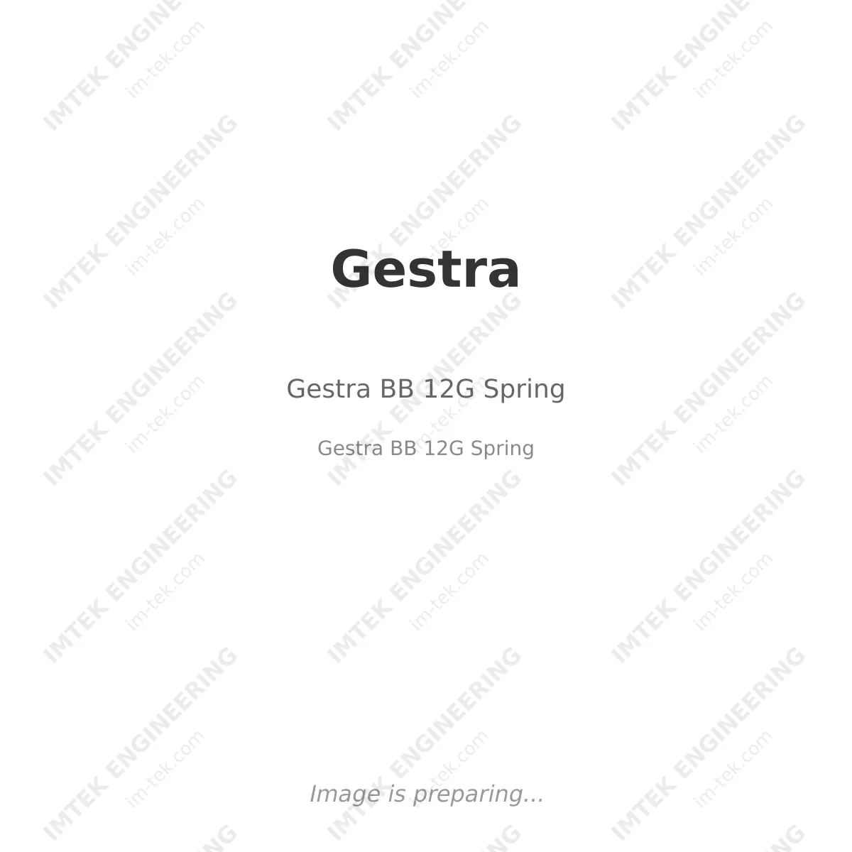 Gestra BB 12G  Spring