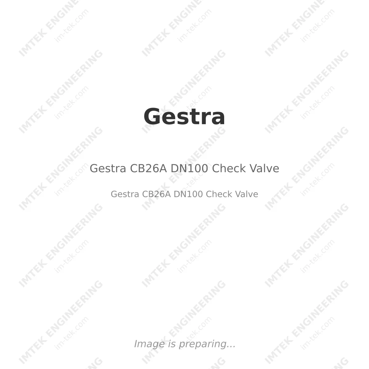 Gestra CB26A  DN100 Check Valve