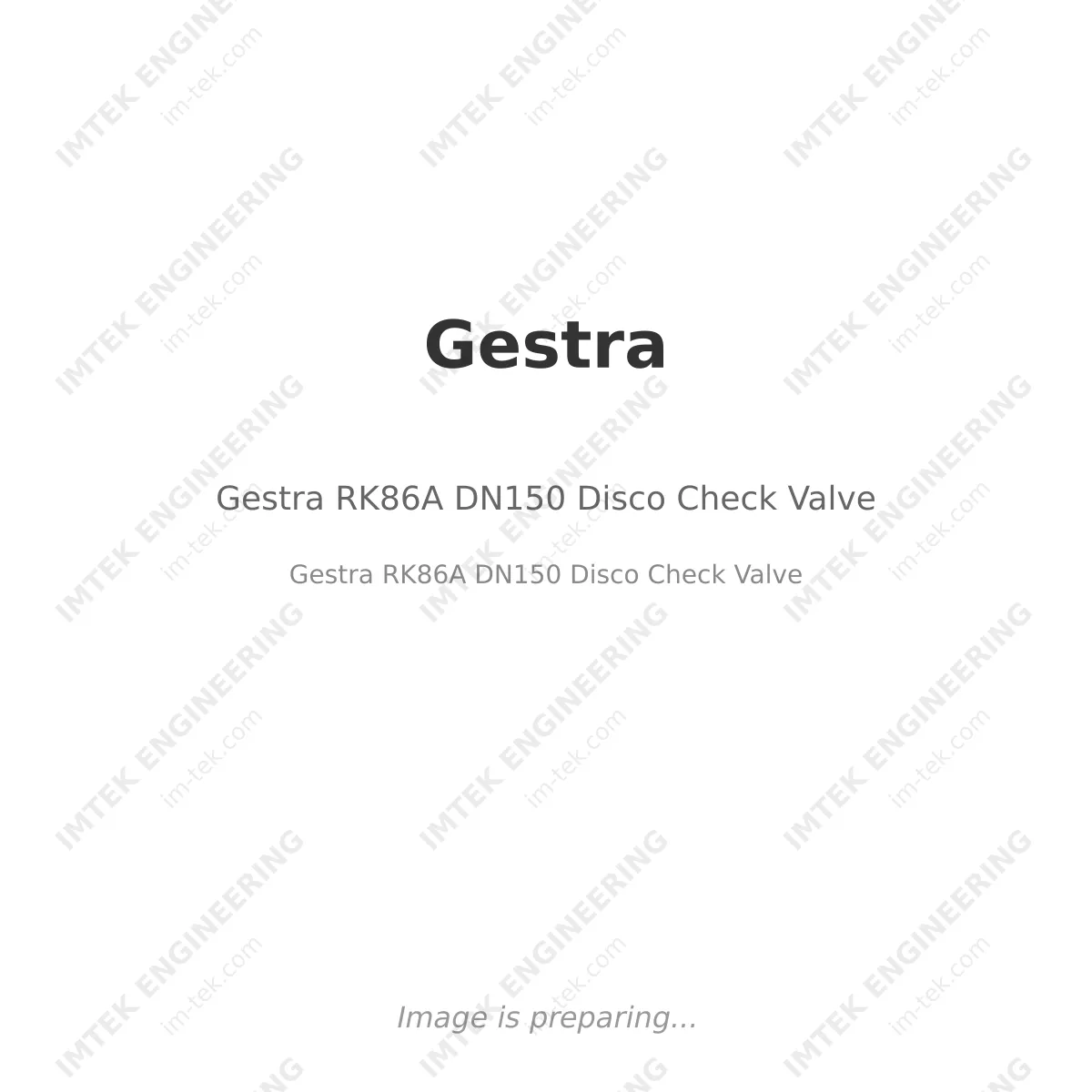 Gestra RK86A  DN150 Disco Check Valve