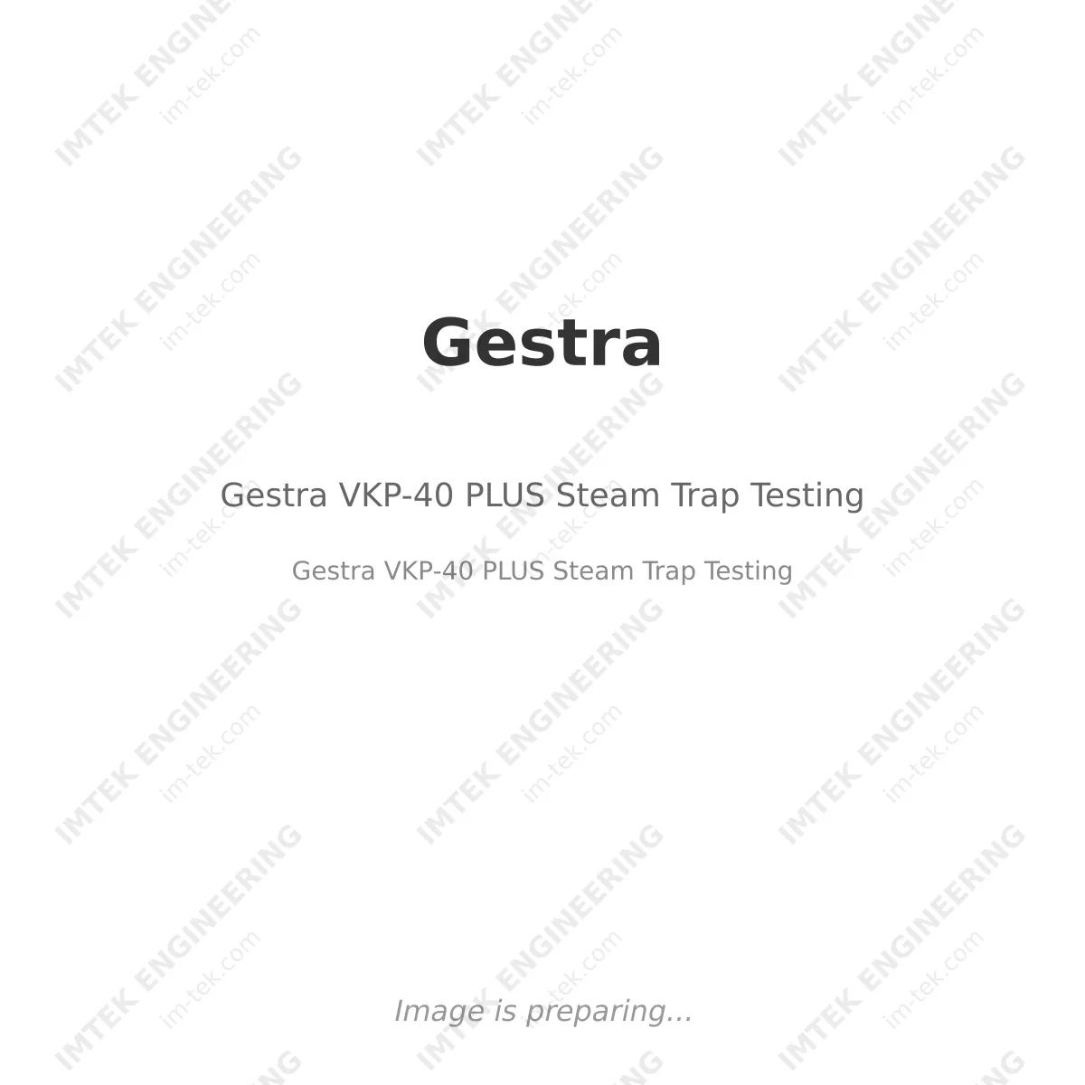 Gestra VKP-40 PLUS Steam Trap Testing