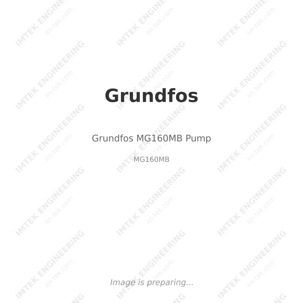 Grundfos MG160MB Pump