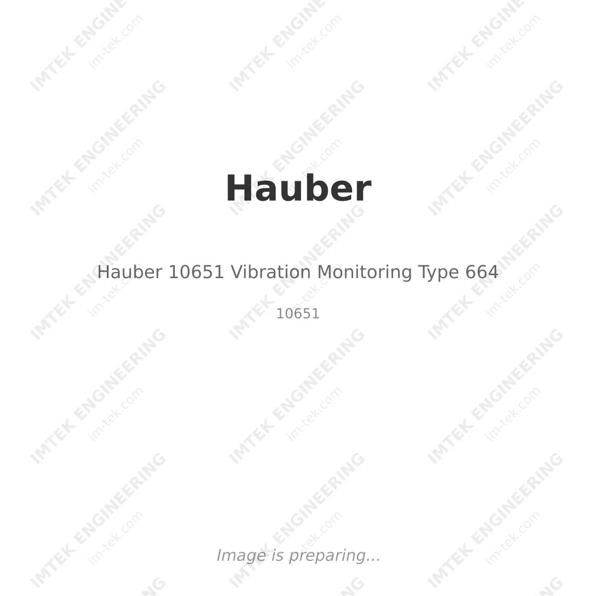 Hauber 10651 Vibration Monitoring Type 664