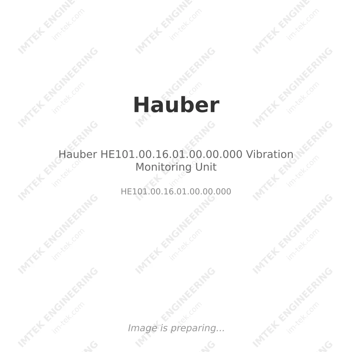 Hauber HE101.00.16.01.00.00.000 Vibration Monitoring Unit
