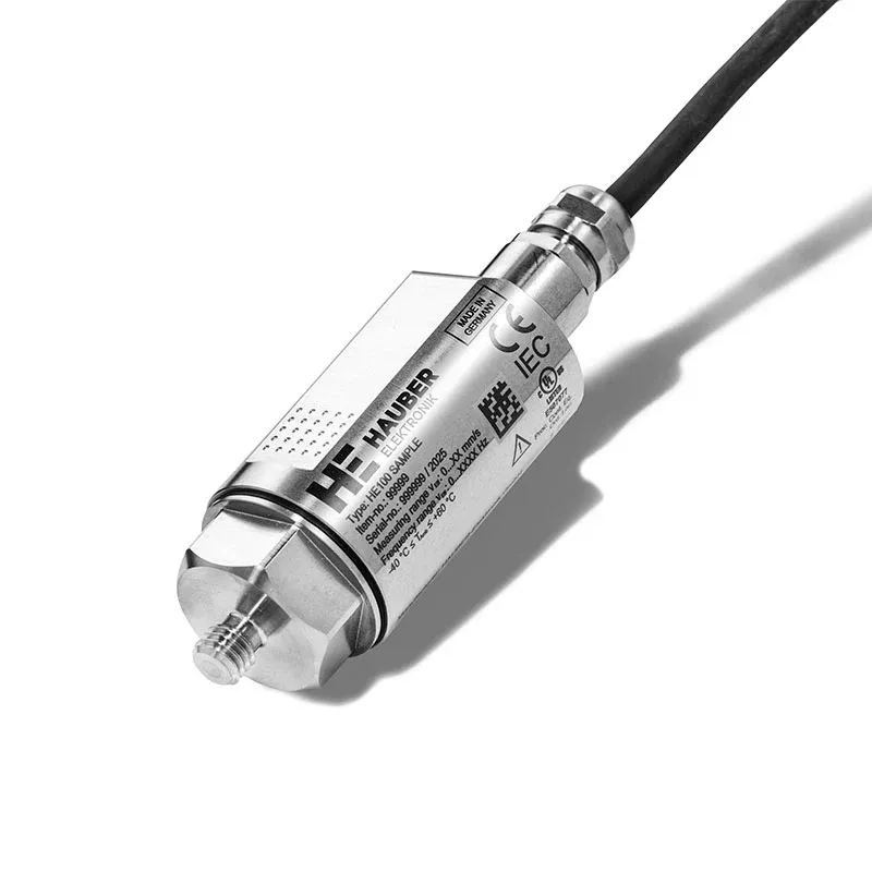 Hauber HE101.01.16.00.00.00.050 Vibration Monitoring Unit