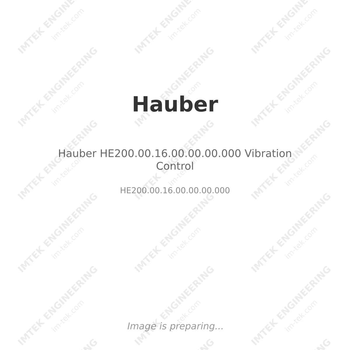 Hauber HE200.00.16.00.00.00.000 Vibration Control