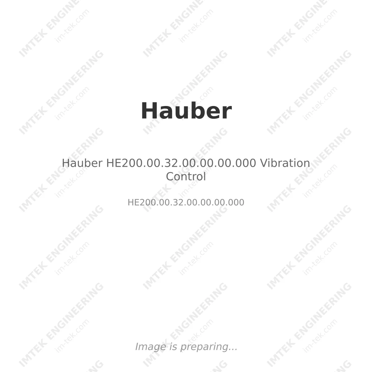 Hauber HE200.00.32.00.00.00.000 Vibration Control