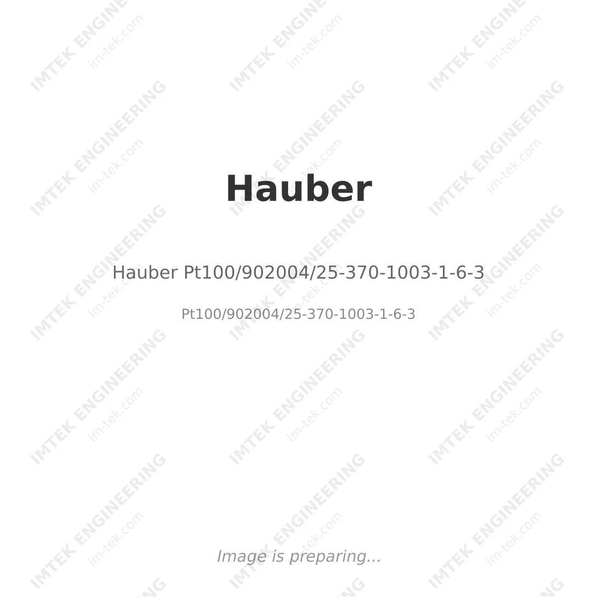 Hauber Pt100/902004/25-370-1003-1-6-3