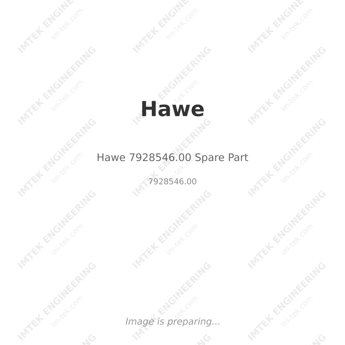 Hawe 7928546.00 Spare Part