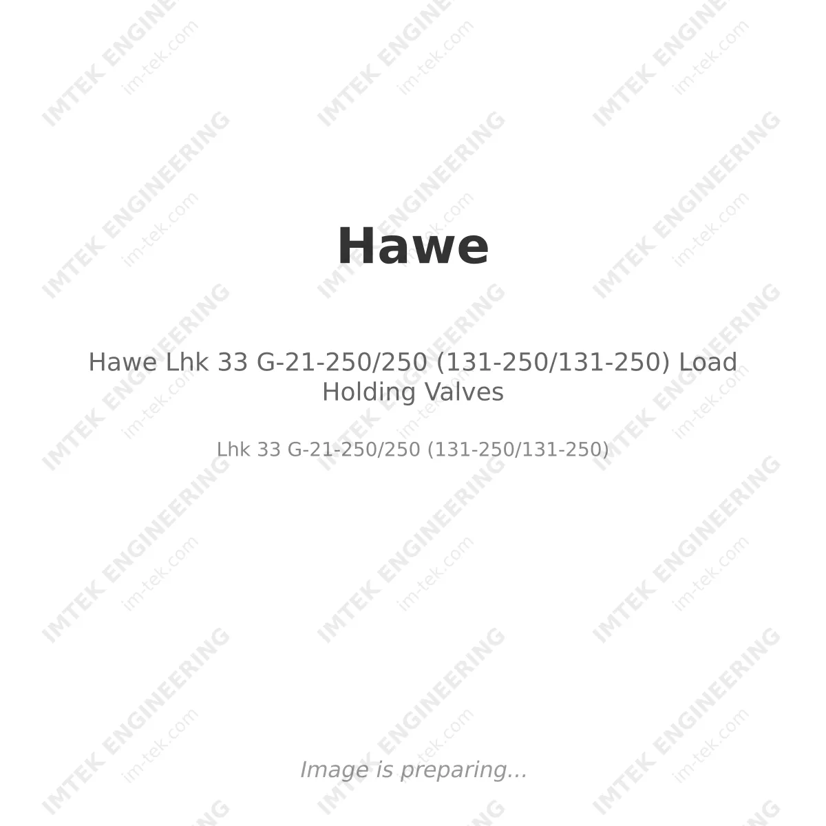 Hawe Lhk 33 G-21-250/250 (131-250/131-250) Load Holding Valves