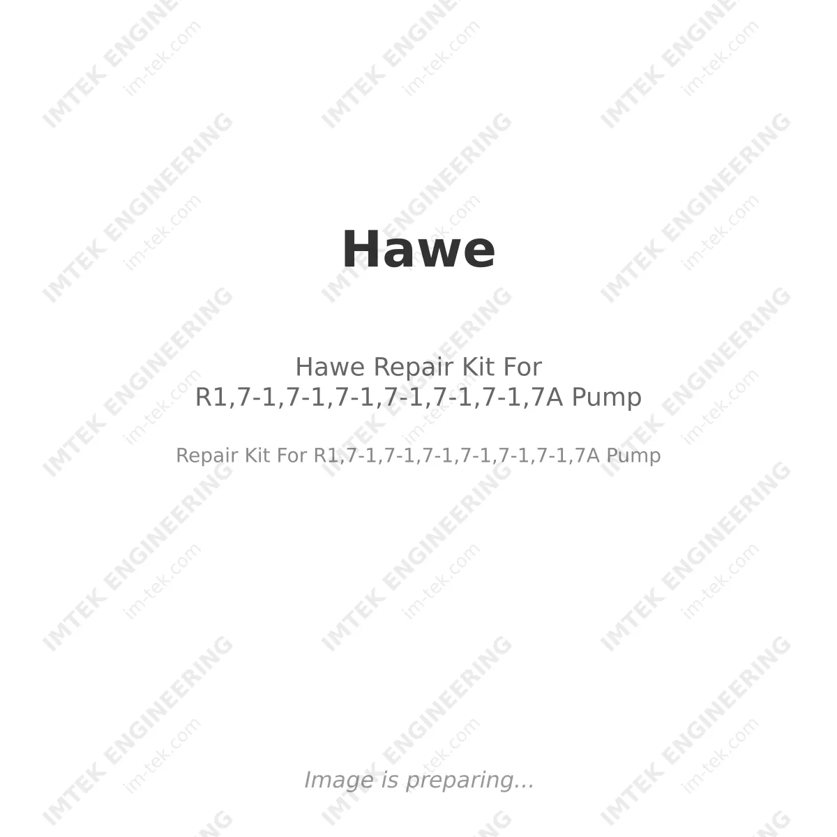 Hawe Repair Kit For R1,7-1,7-1,7-1,7-1,7-1,7-1,7A Pump