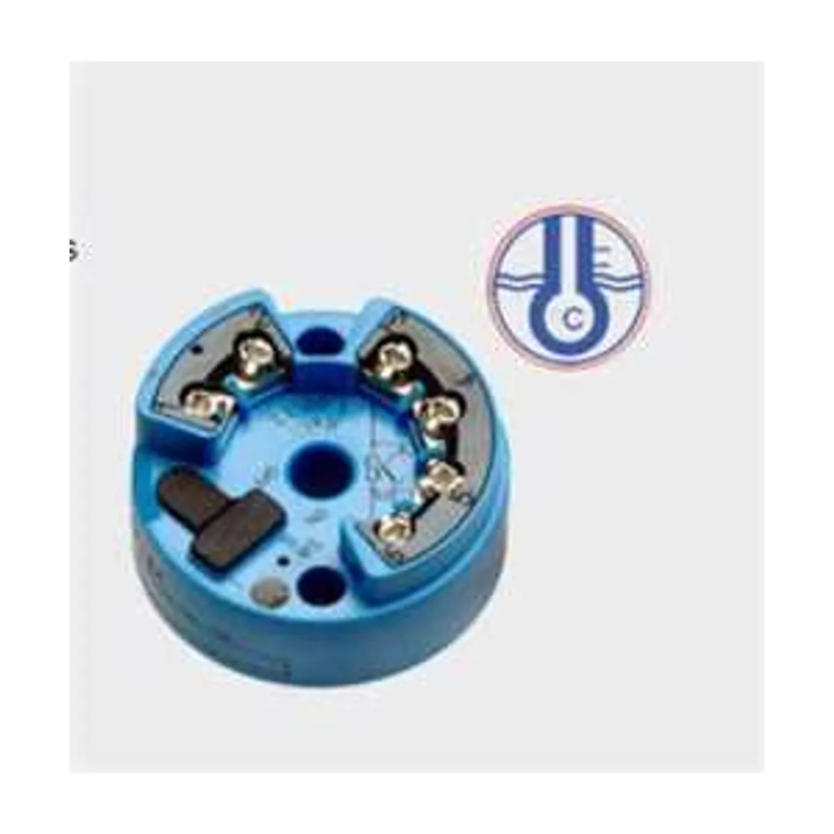 Hengesbach   TE 82 PROFIBUS-PA® head temperature transmitter