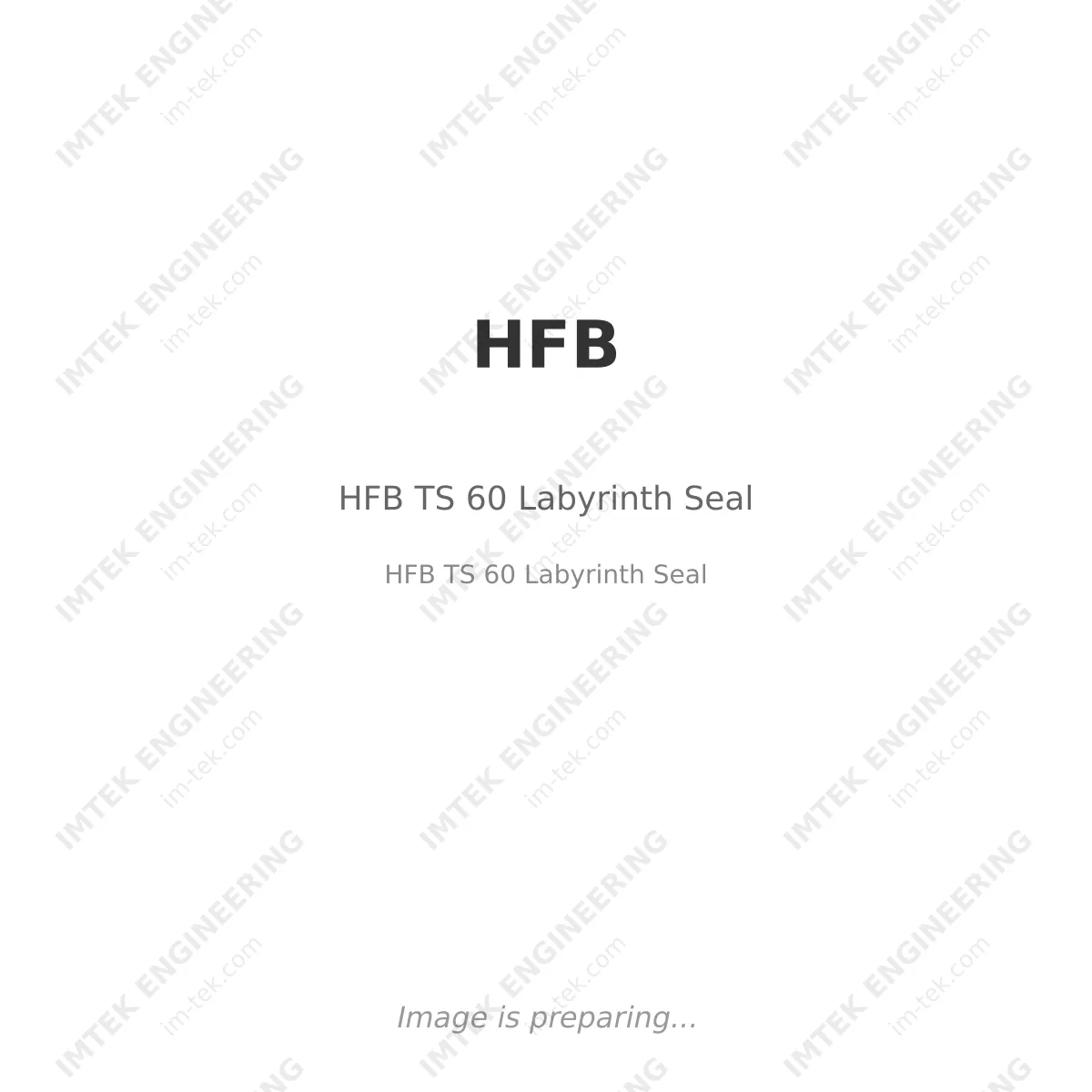 HFB TS 60 Labyrinth Seal