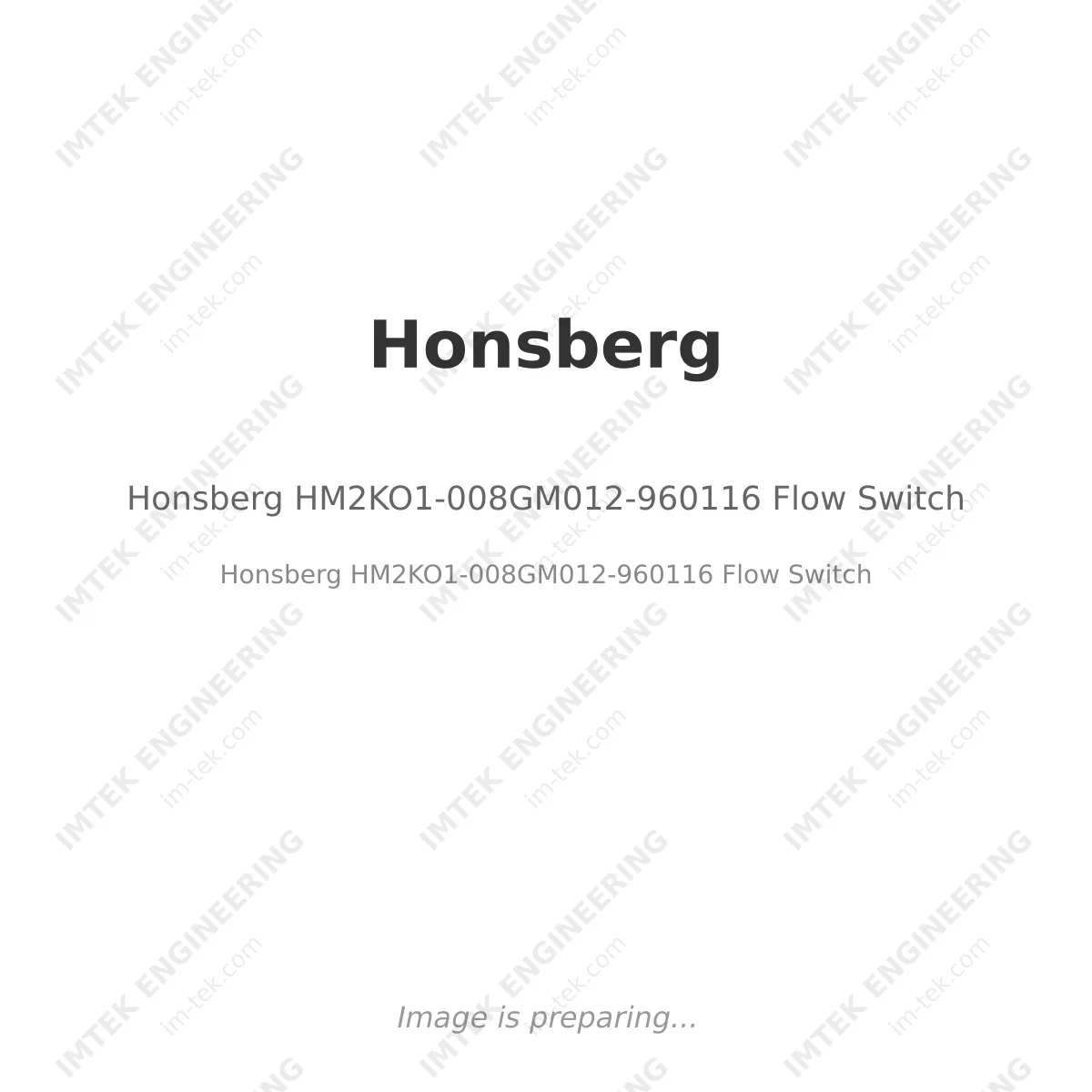 Honsberg HM2KO1-008GM012-960116 Flow Switch