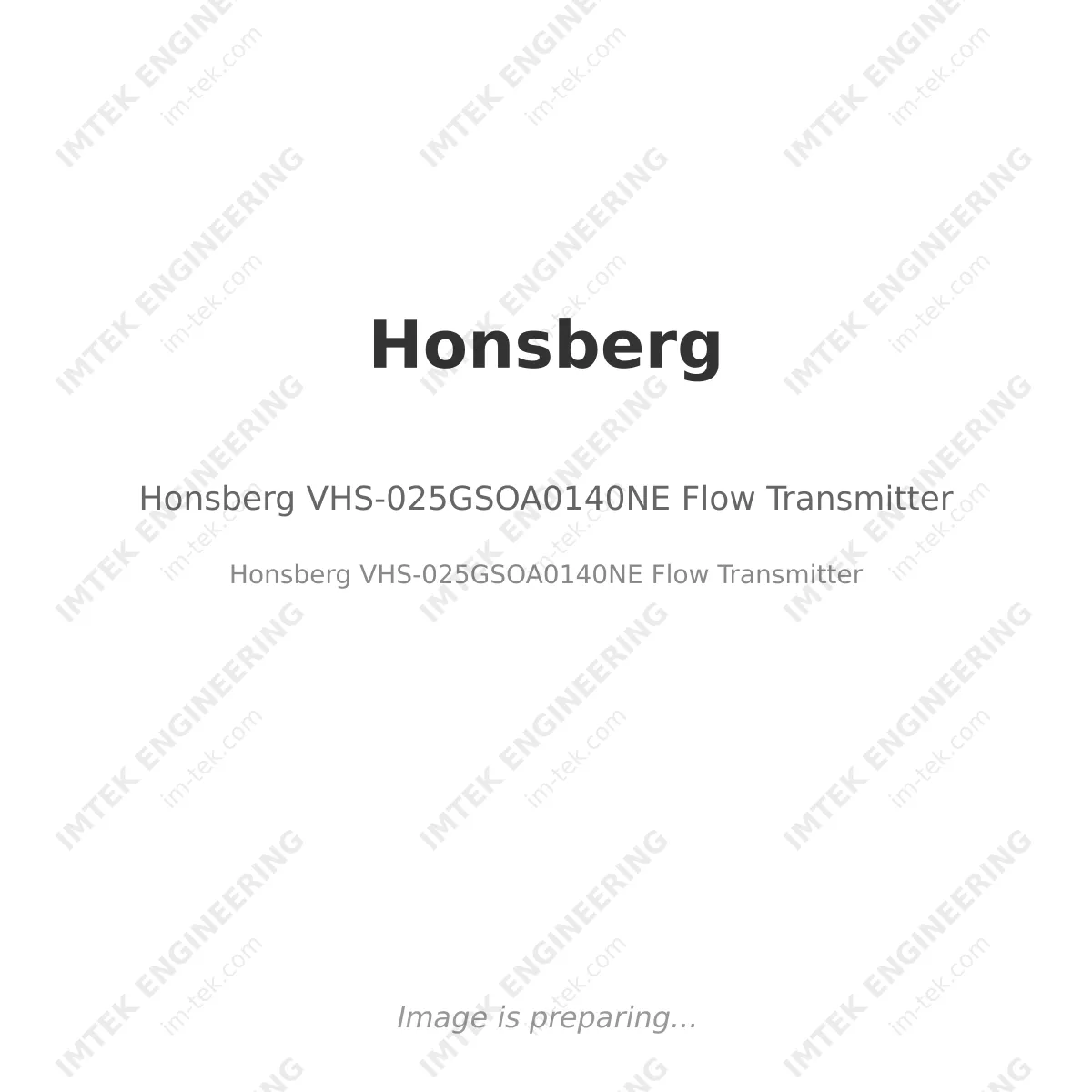 Honsberg VHS-025GSOA0140NE Flow Transmitter