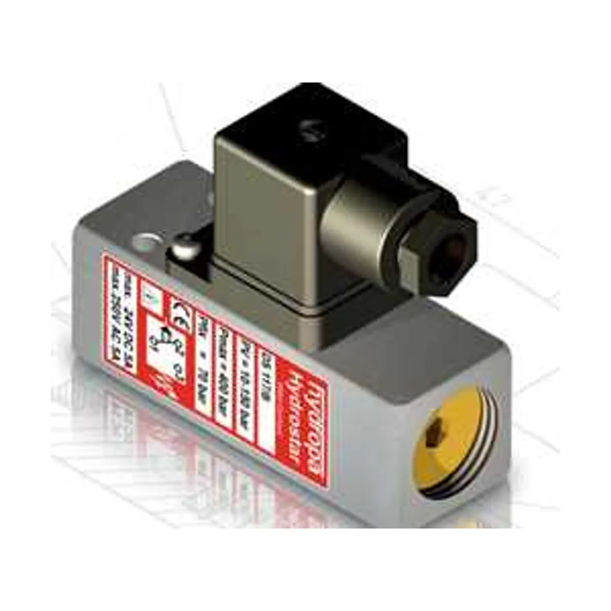 Hydropa DS117-150/F Pressure Switch