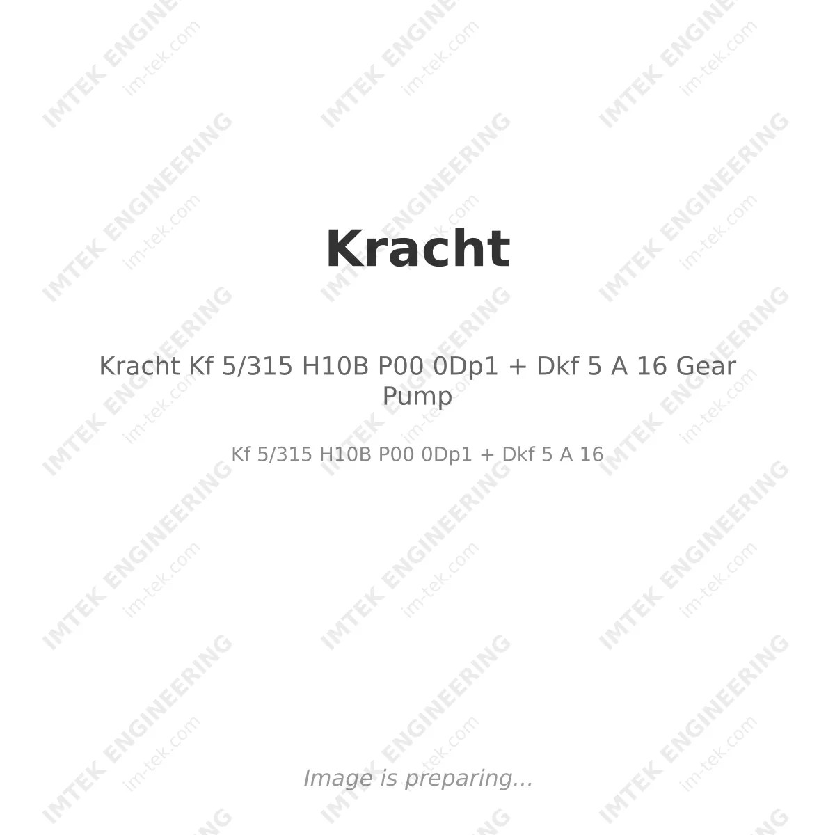 Kracht Kf 5/315 H10B P00 0Dp1 + Dkf 5 A 16 Gear Pump
