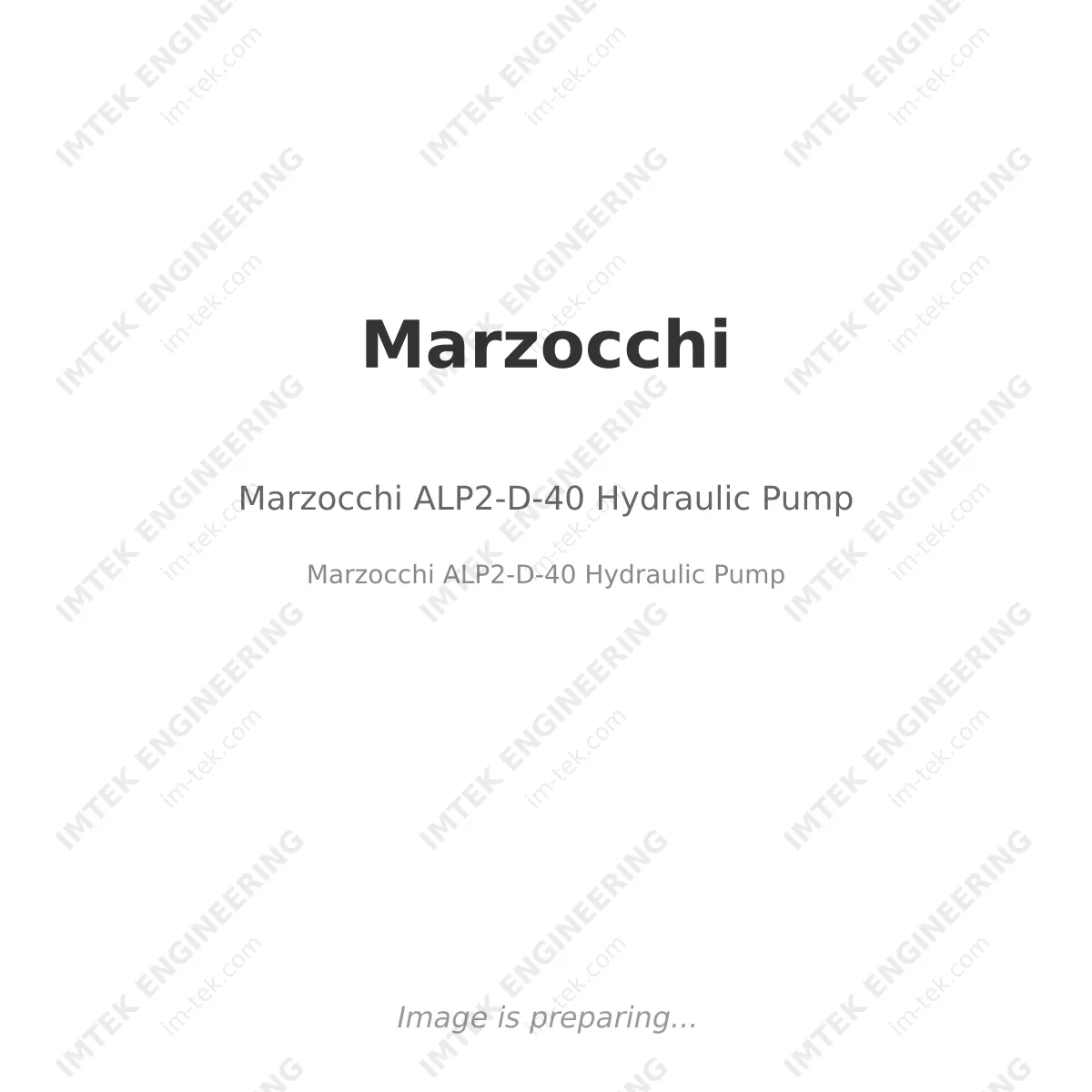 Marzocchi ALP2-D-40 Hydraulic Pump