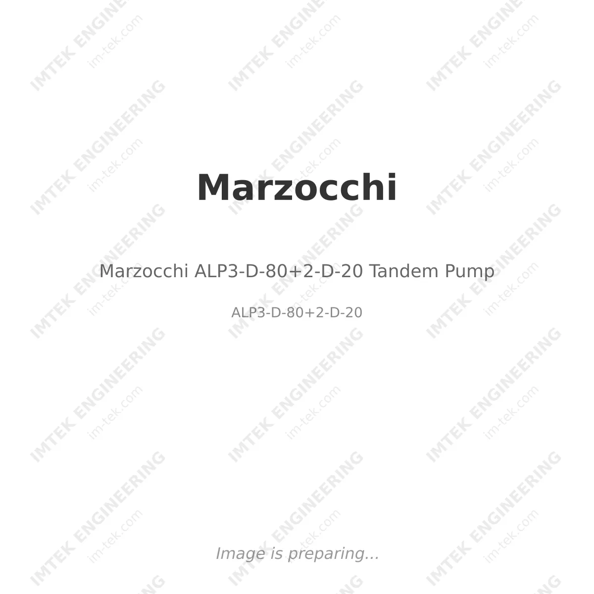 Marzocchi ALP3-D-80+2-D-20 Tandem Pump