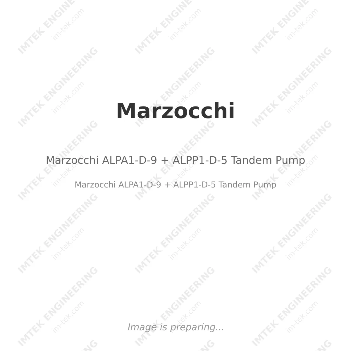 Marzocchi ALPA1-D-9 + ALPP1-D-5 Tandem Pump