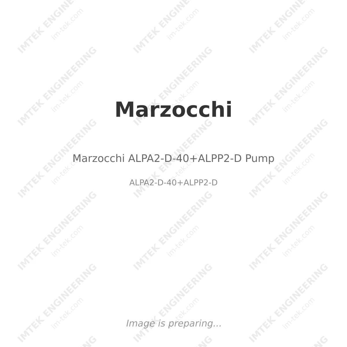 Marzocchi ALPA2-D-40+ALPP2-D Pump