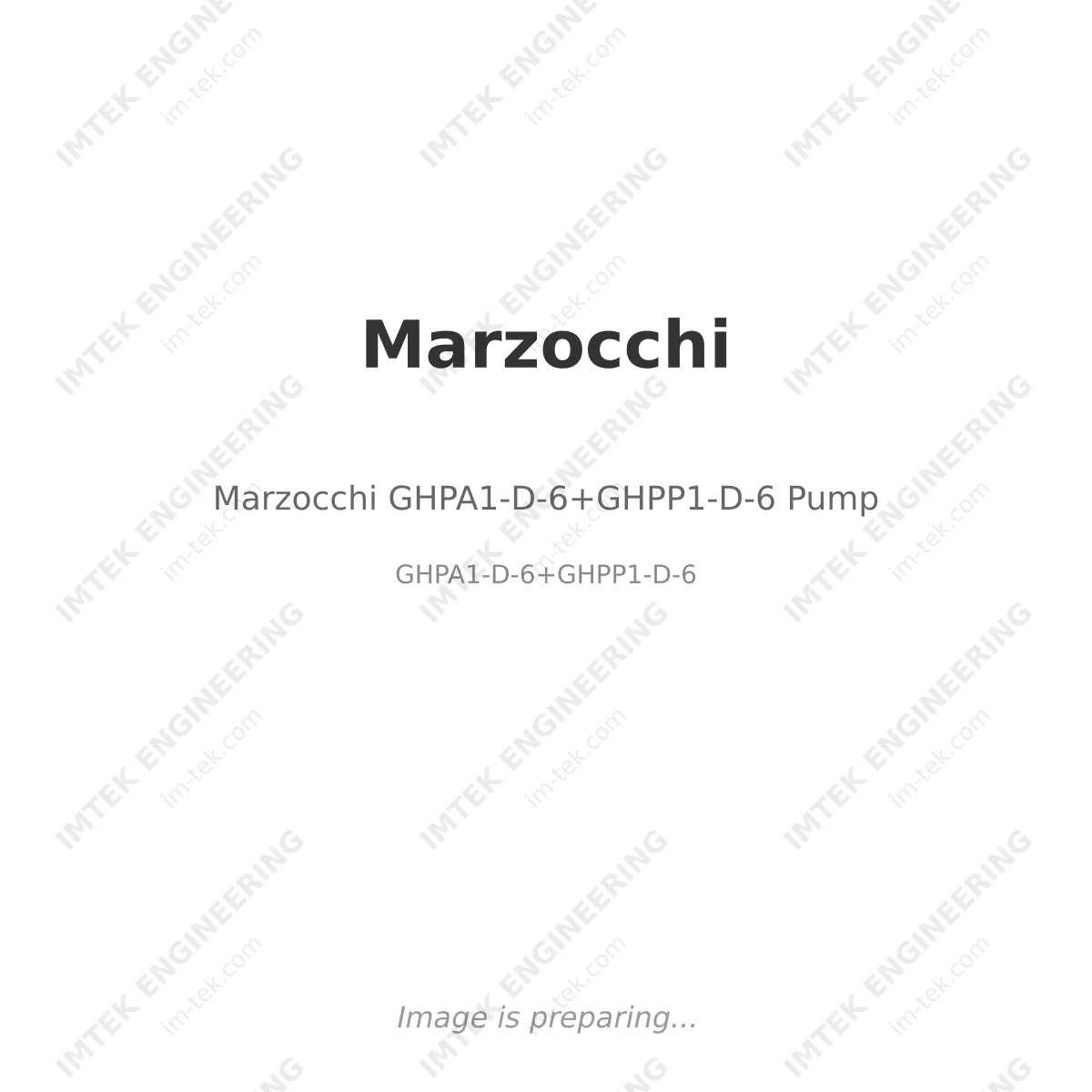 Marzocchi GHPA1-D-6+GHPP1-D-6 Pump