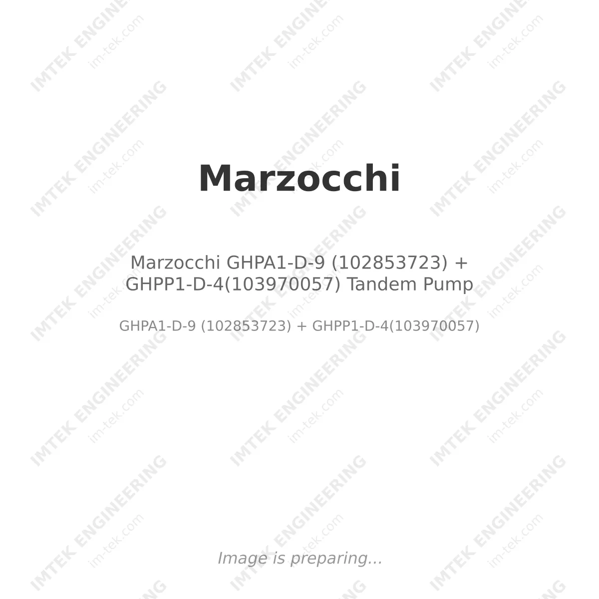 Marzocchi GHPA1-D-9 (102853723) + GHPP1-D-4(103970057) Tandem Pump