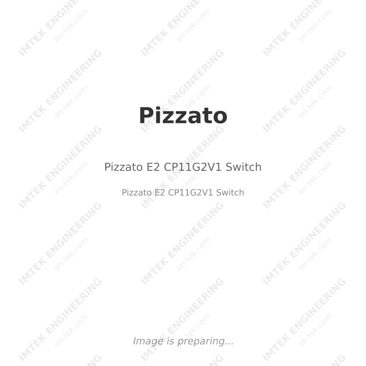 Pizzato E2 CP11G2V1  Switch