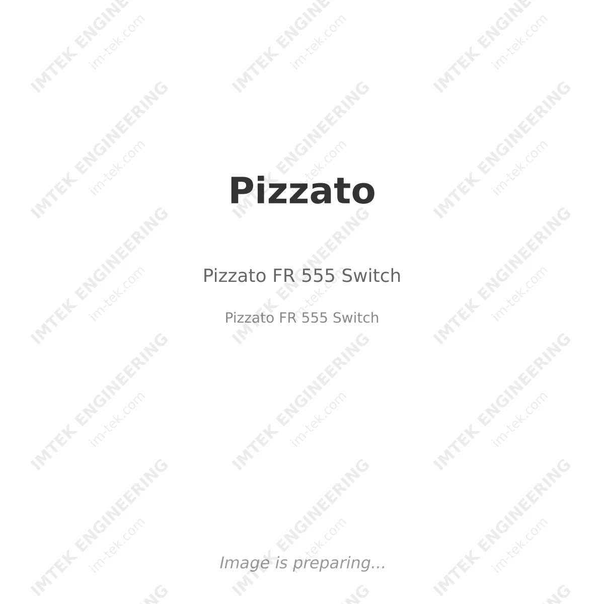 Pizzato FR 555 Switch