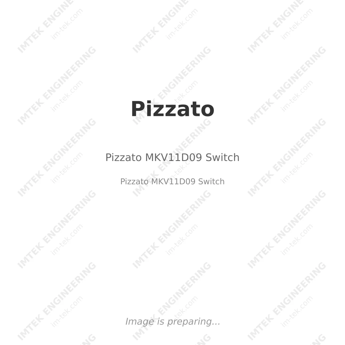 Pizzato MKV11D09 Switch