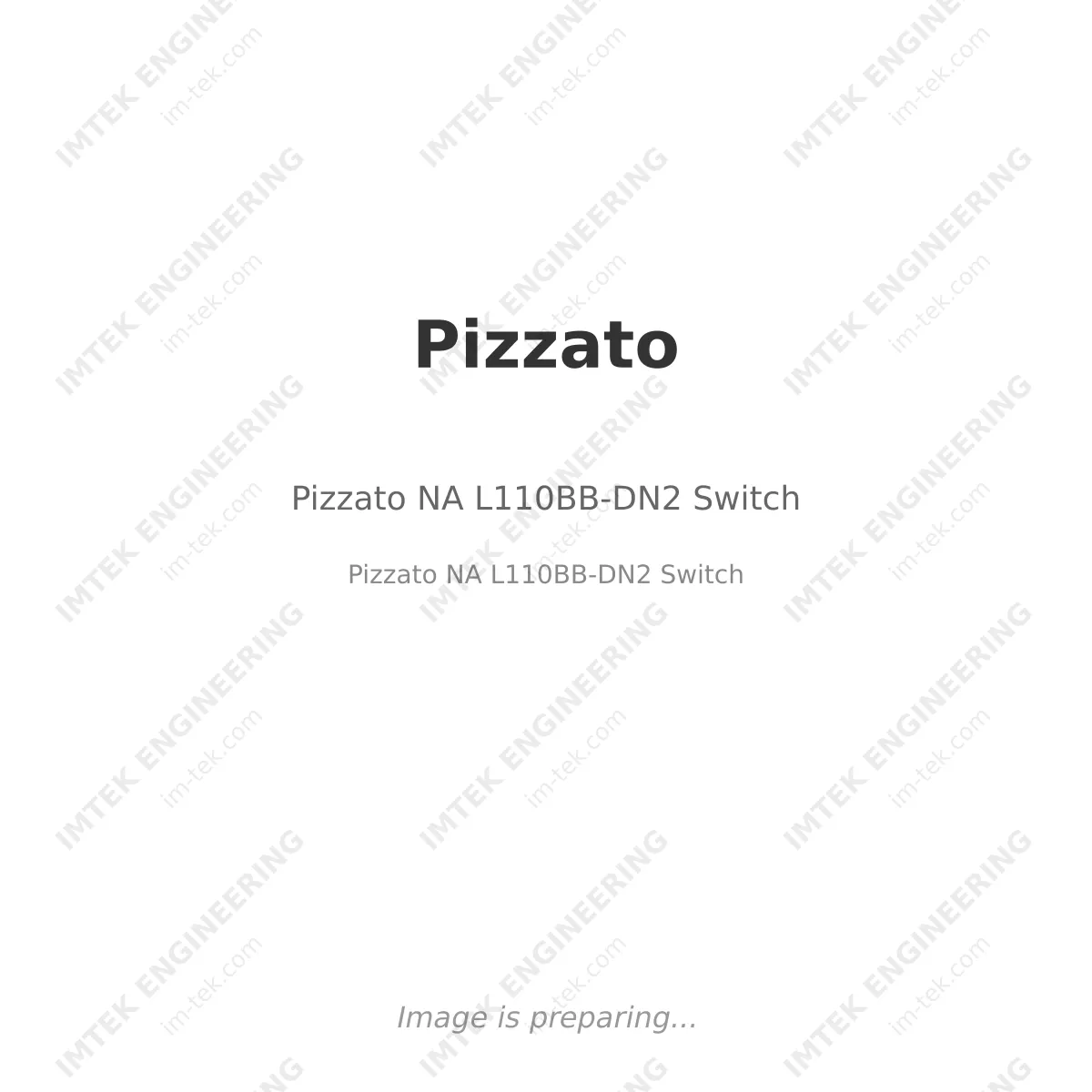 Pizzato NA L110BB-DN2  Switch