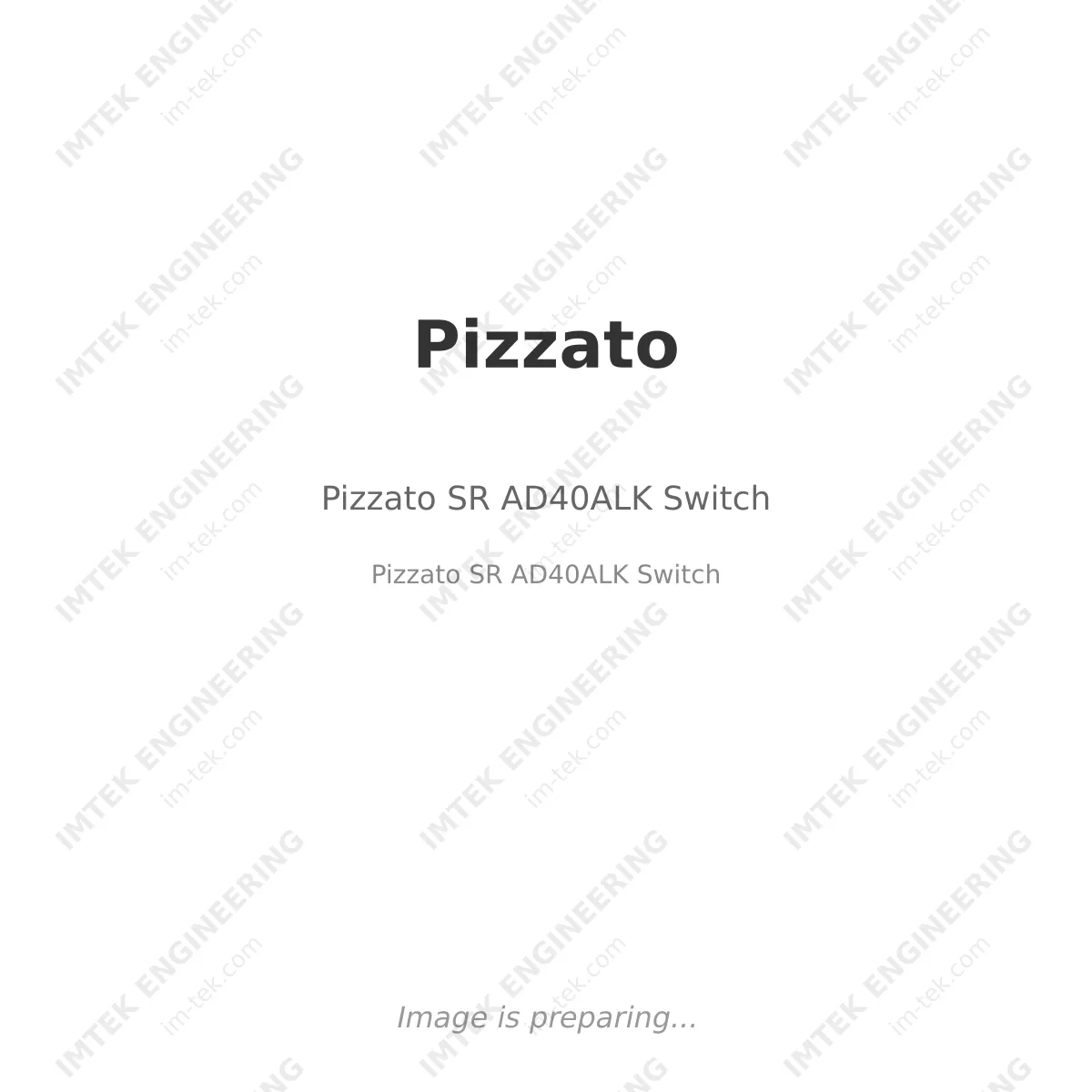 Pizzato SR AD40ALK  Switch